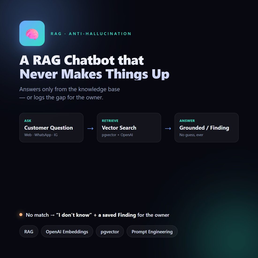 RAG Chatbot, No Hallucinations preview